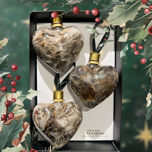 Heart Feather Baubles (CFHE9027)
