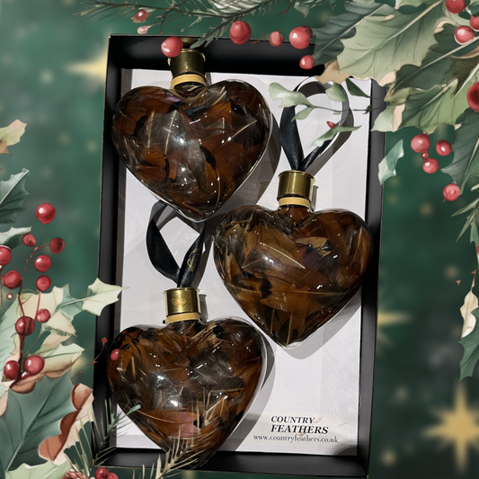 Heart Feather Baubles (CFHE9023)