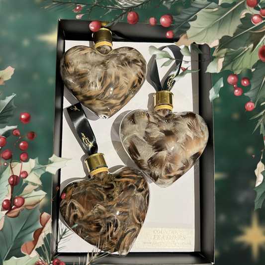 Heart Feather Baubles (CFHE9021)