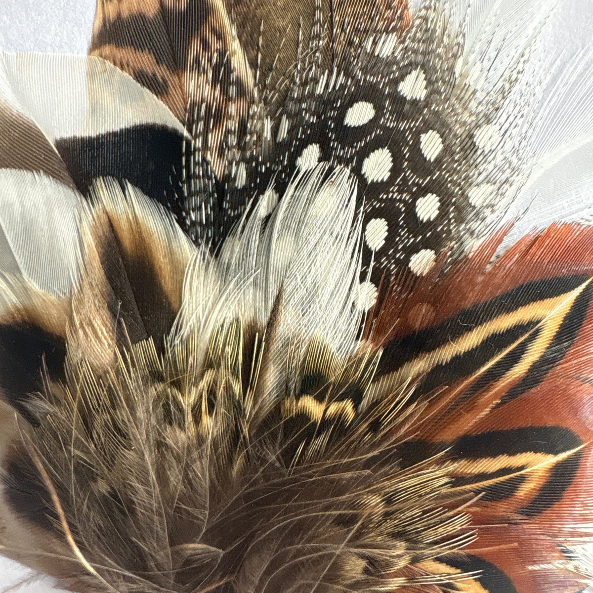 Black, White & Natural Feather Lapel Pin CFLP278