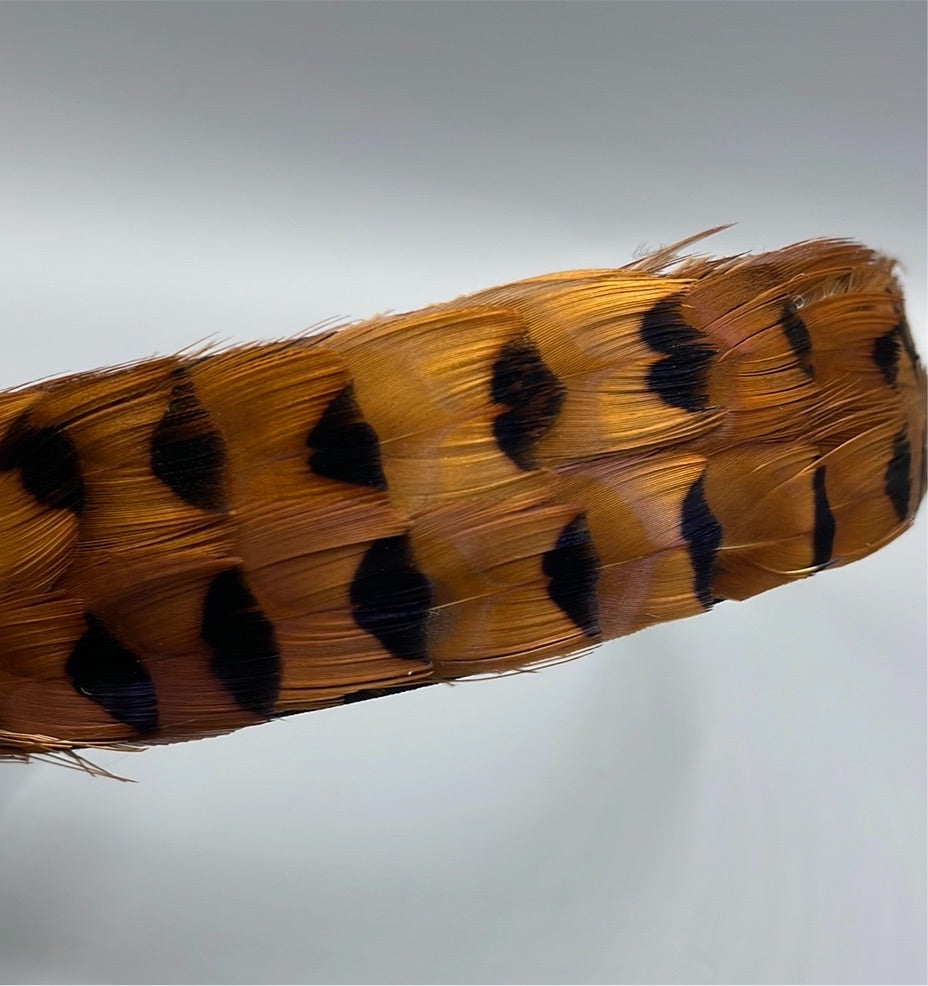 Pheasant Feather Hairband (CFHB3001)
