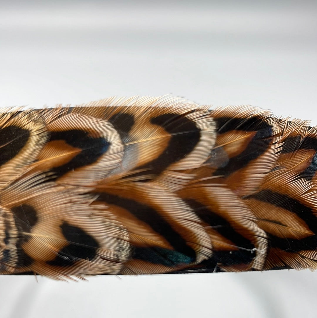 Pheasant Feather Hairband (CFHB3006)