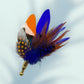 Royal Blue & Orange Feather Lapel Pin in a Gold Clasp (CFLP114)