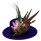 Pink, black, white & teal Feather Hat Pin (CFP805)