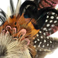 Light Pink, Black, White and Natural Feather Hat Pin CFP843