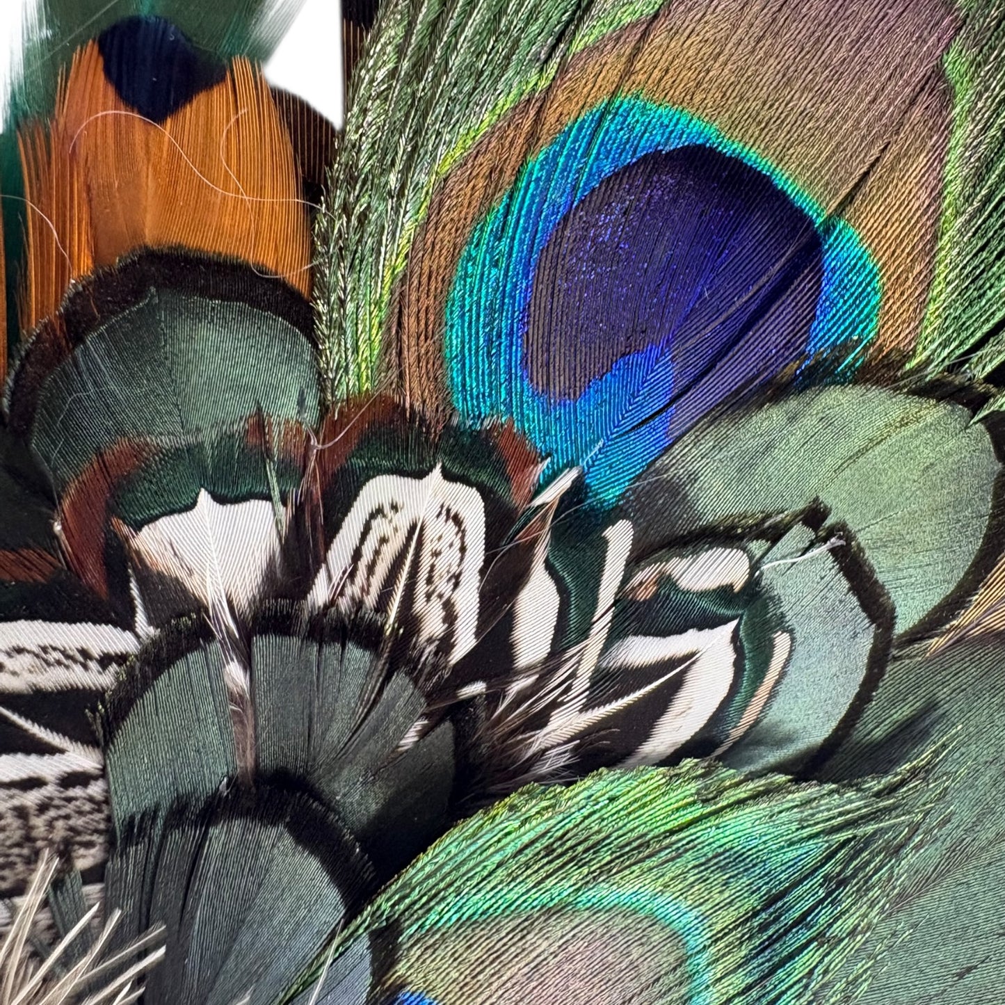 Peacock and Natural Feather Hat Pin CFP848
