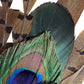 Peacock and Natural Feather Hat Pin CFP848