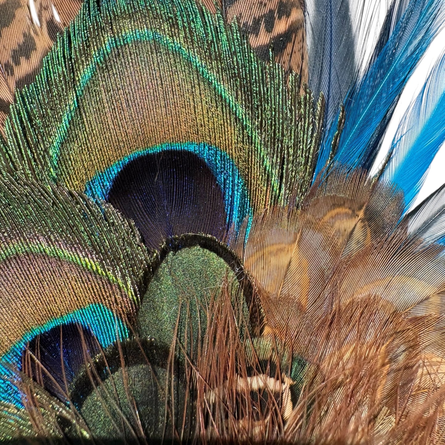 Teal and Natural Feather Hat Pin CFP851
