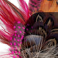 Claret, Cerise Pink and Natural Feather Hat Pin CFP853
