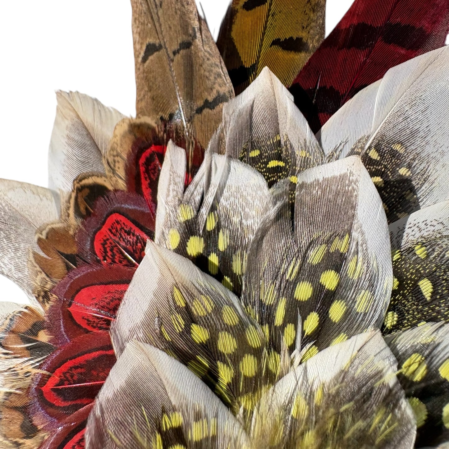 Red, Yellow and Natural Feather Hat Pin CFP856