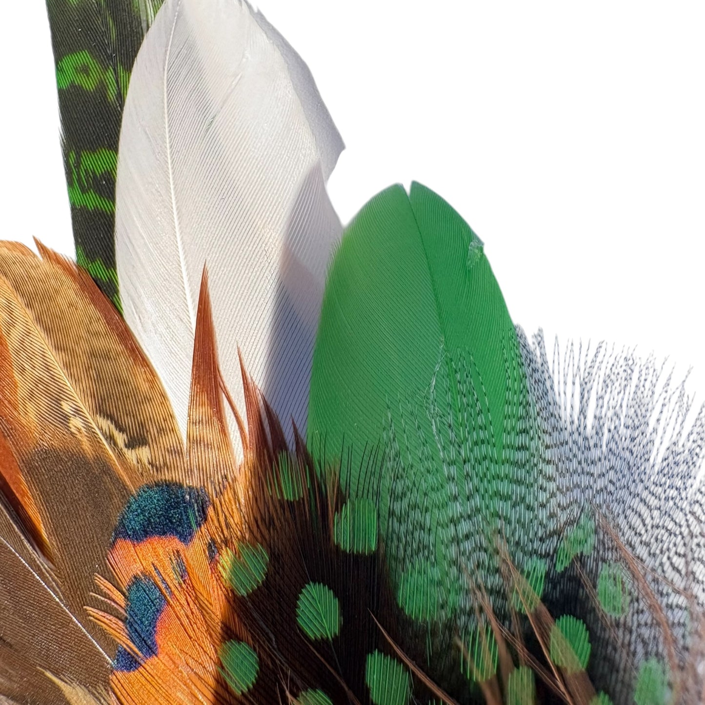 Lime Green and Natural Feather Hat Pin CFP857