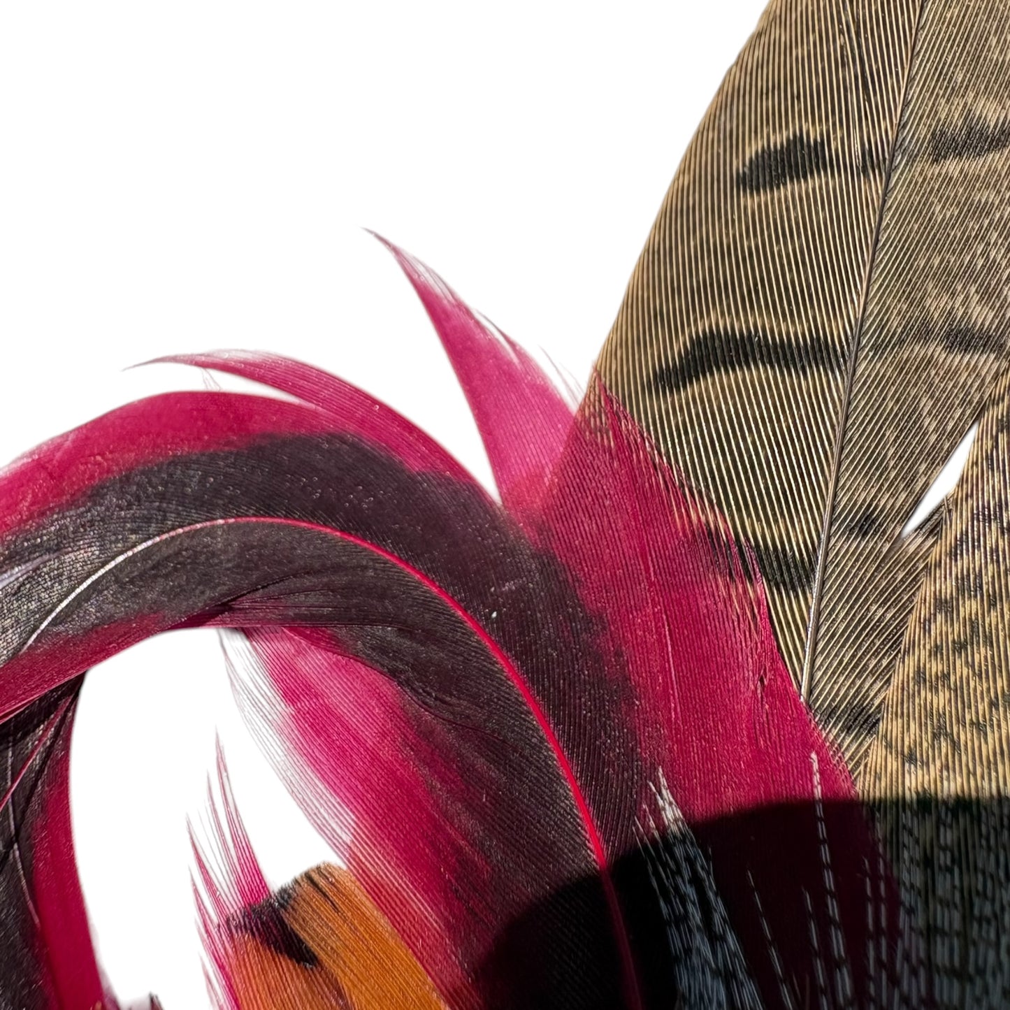 Claret and Natural Feather Hat Pin CFP858