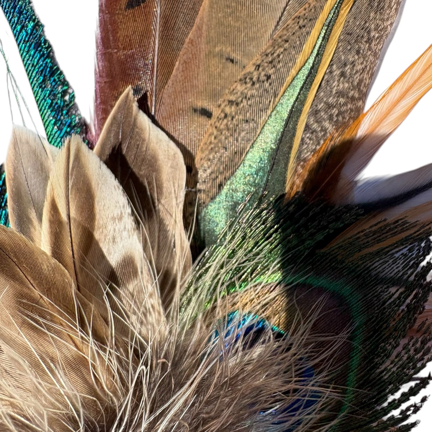 Peacock and Natural Feather Hat Pin CFP859
