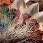 Peacock and Natural Feather Hat Pin CFP860