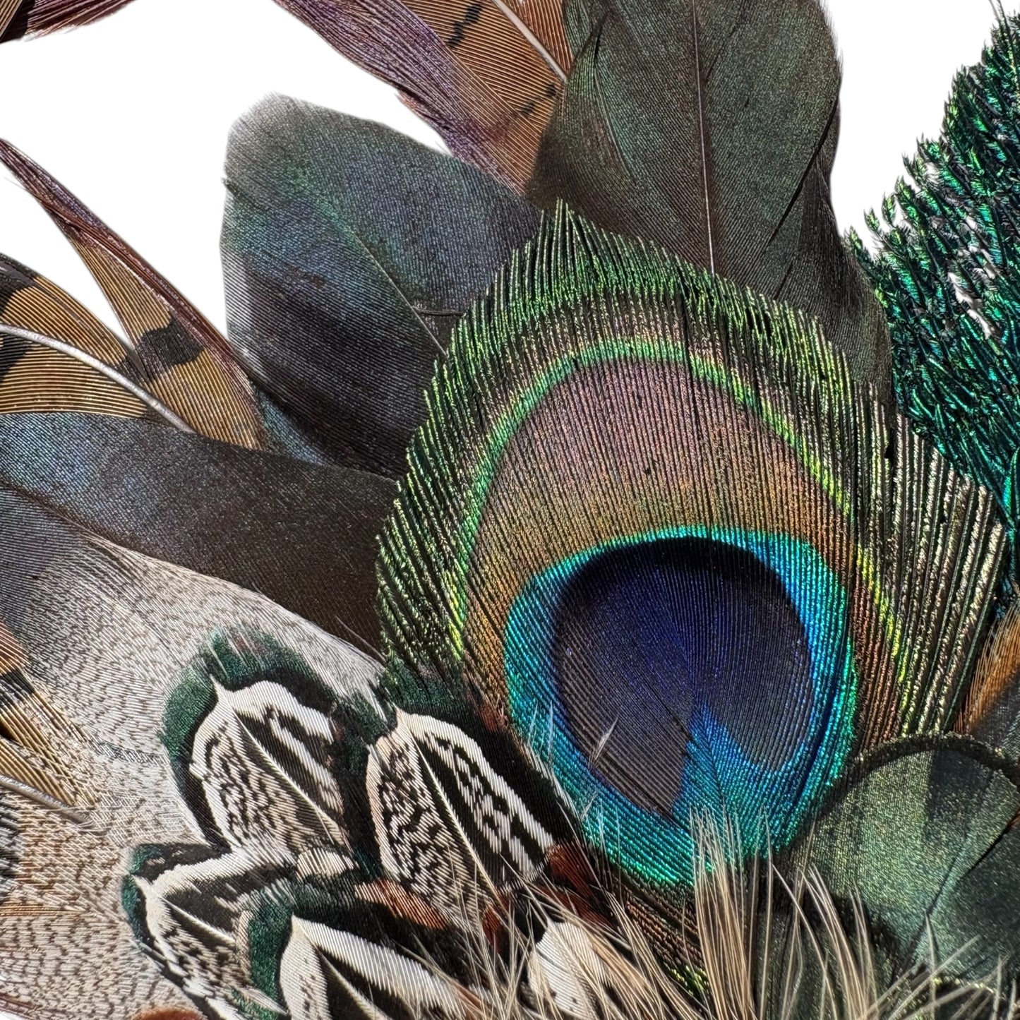 Natural Feather Hat Pin CFP861