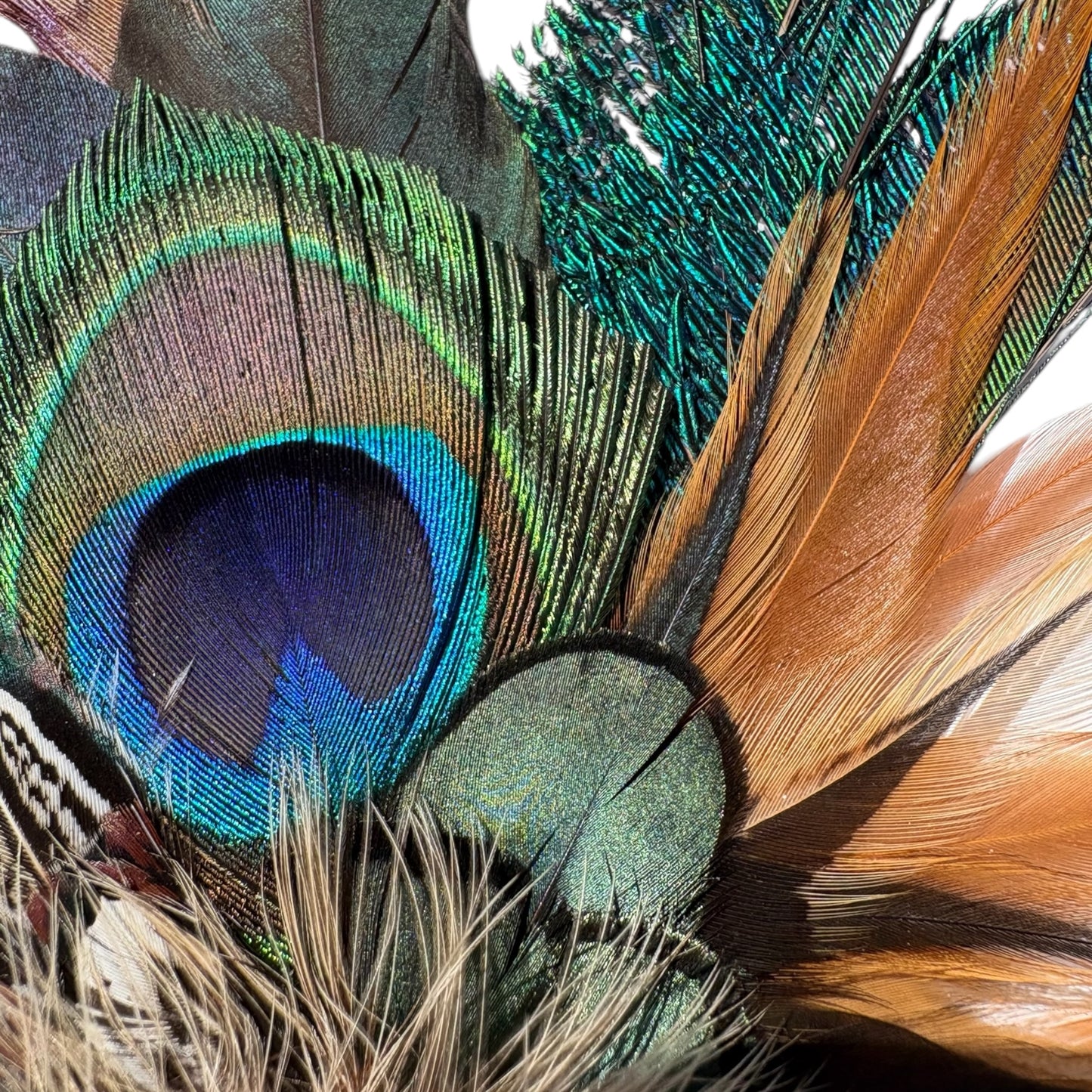 Natural Feather Hat Pin CFP861