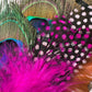 Peacock, Cerise Pink and Light Pink Feather Hat Pin CFP864