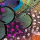 Peacock, Cerise and Light Pink Feather Hat Pin CFP867