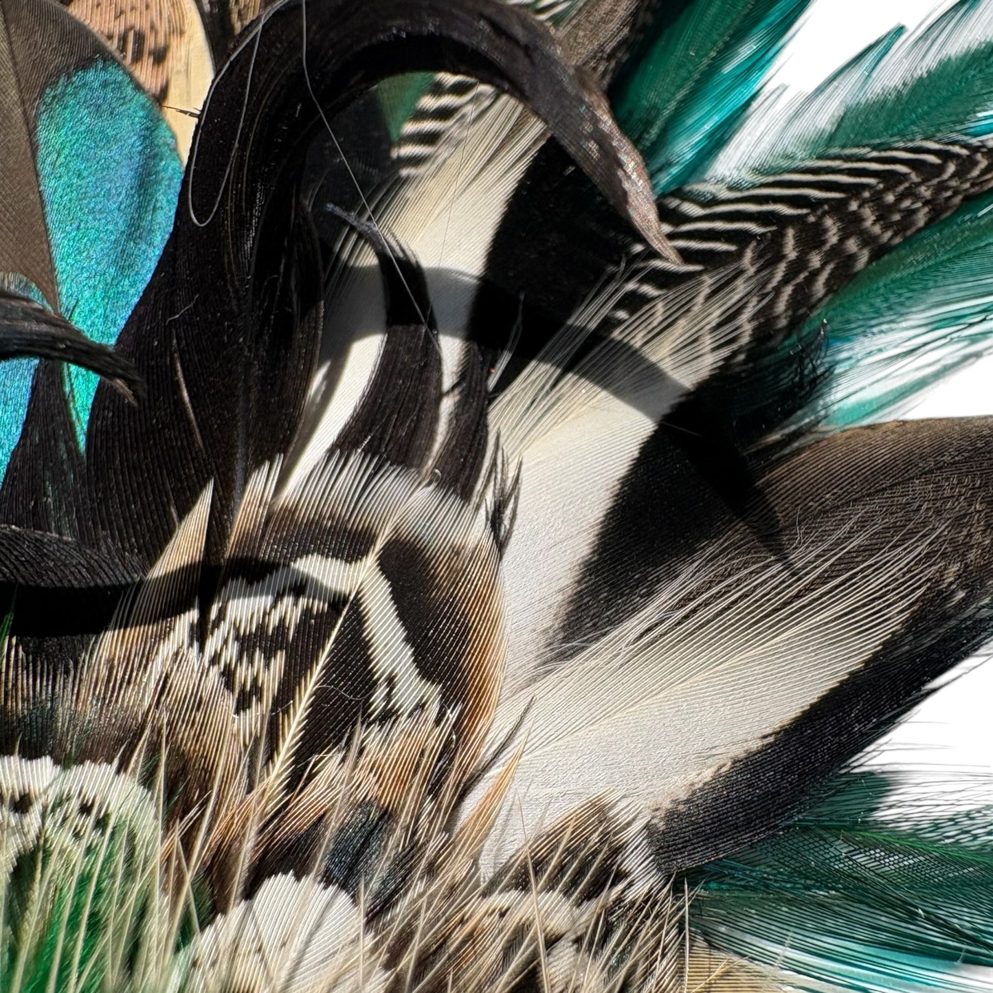 Teal, Rooster, Duck, & Phesant Feather Hat Pin CFP876
