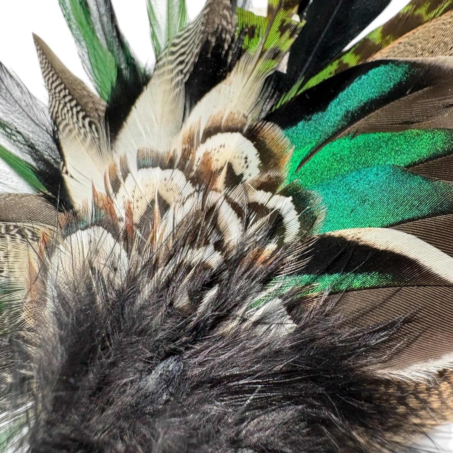 Teal, Rooster, Duck & Pheasant Feather Hat Pin CFP877