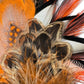 Goose, Rooster, Duck, Teal & Pheasant Feather Hat Pin CFP878