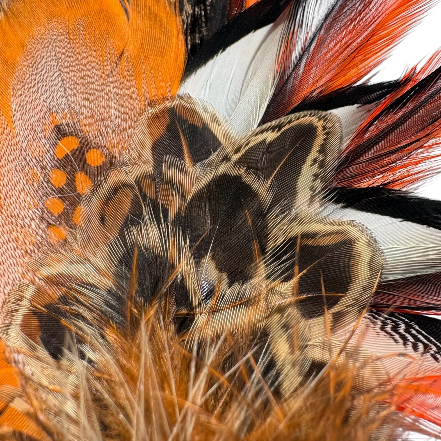 Goose, Rooster, Duck, Teal & Pheasant Feather Hat Pin CFP878