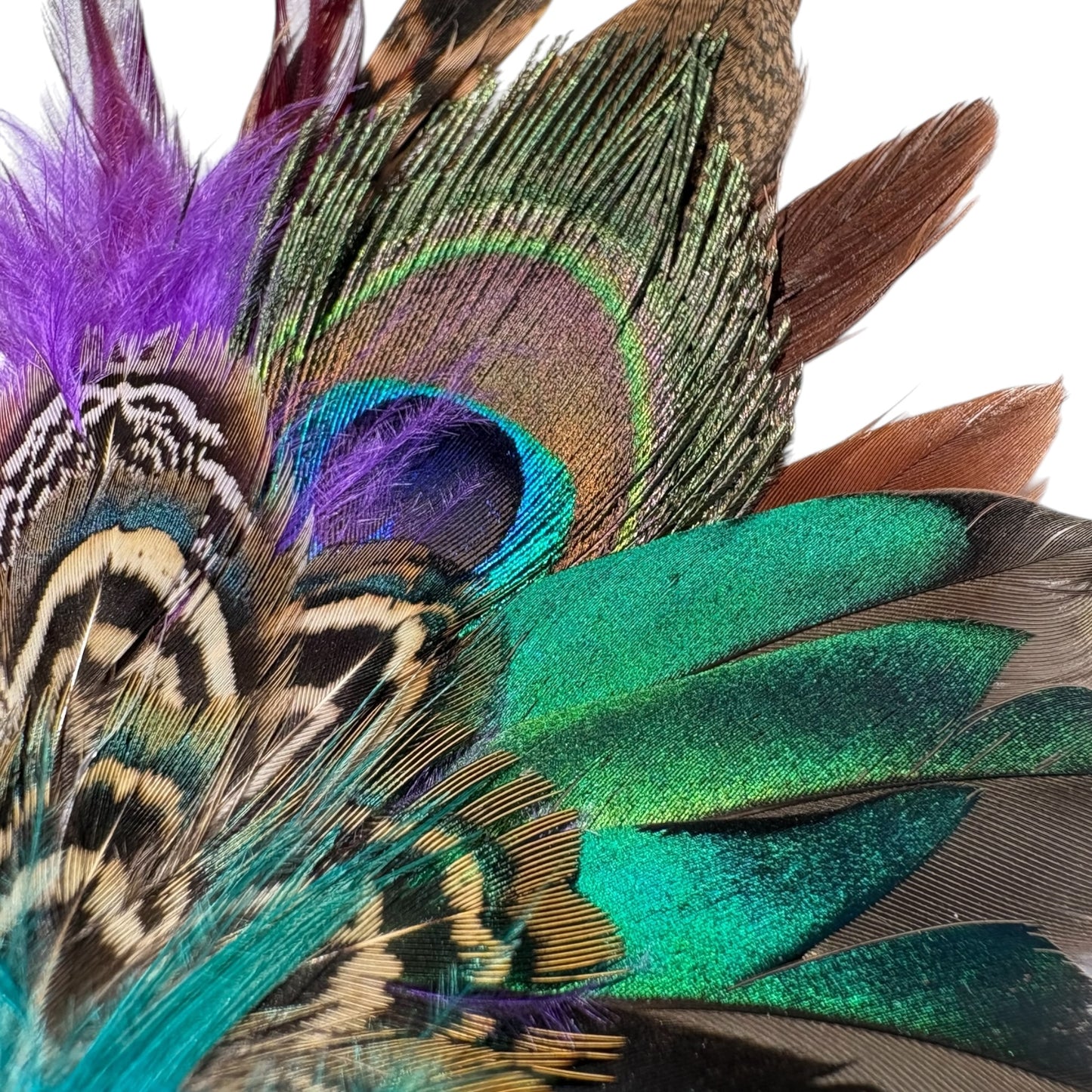 Teal, Rooster, Peacock and Pheasant Feather Hat Pin CFP869