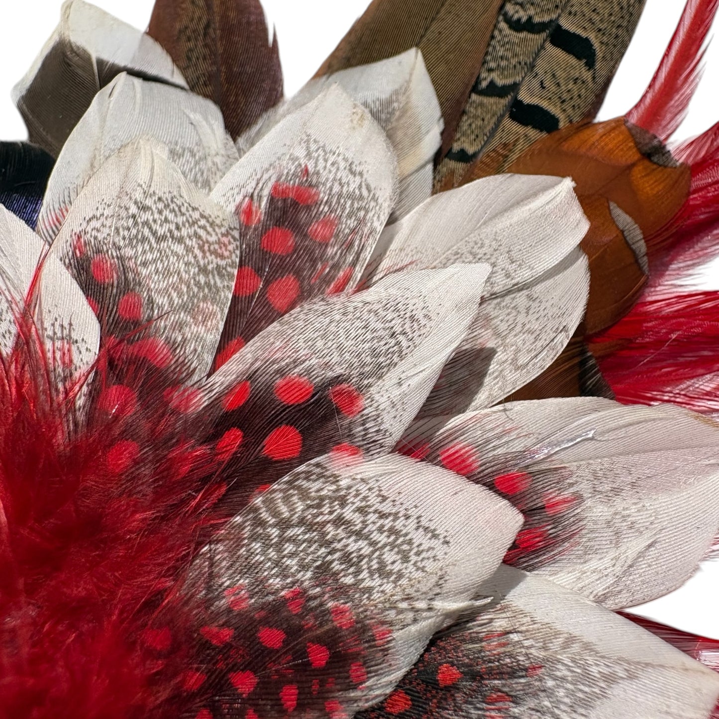 Duck, Guinea Fowl Rooster & Pheasant Feather Hat Pin CFP871