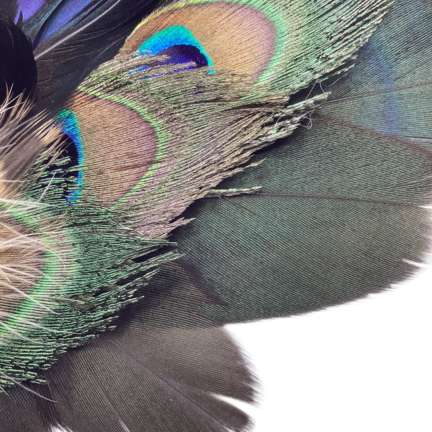 Peacock, Duck and Natural Feather Hat Pin (CFP832)