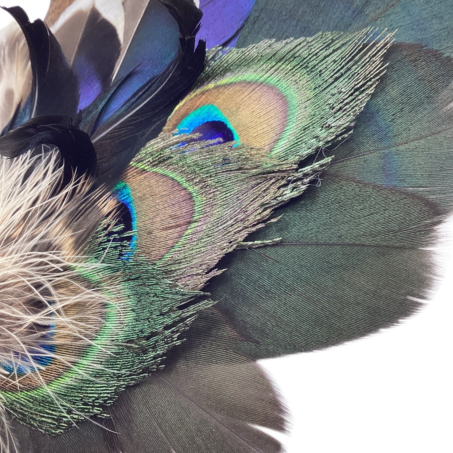 Peacock, Duck and Natural Feather Hat Pin (CFP832)