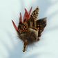 Orange & Natural Feather Lapel Pin set in a Gold Clasp (CFLP108)