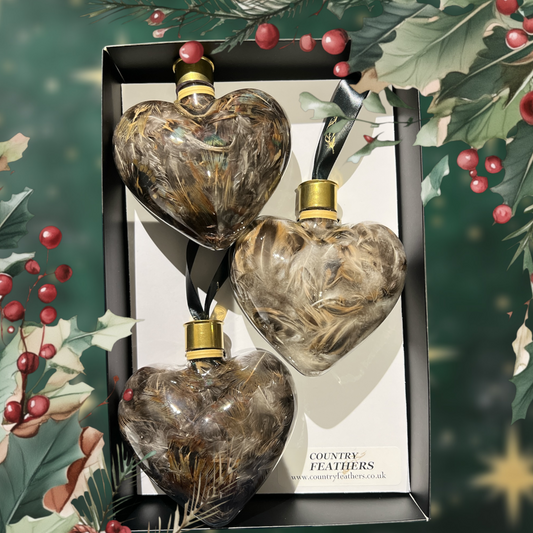 Heart Feather Baubles (CFHE9026)