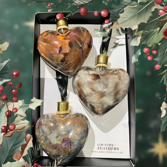 Heart Feather Baubles (CFHE9025)