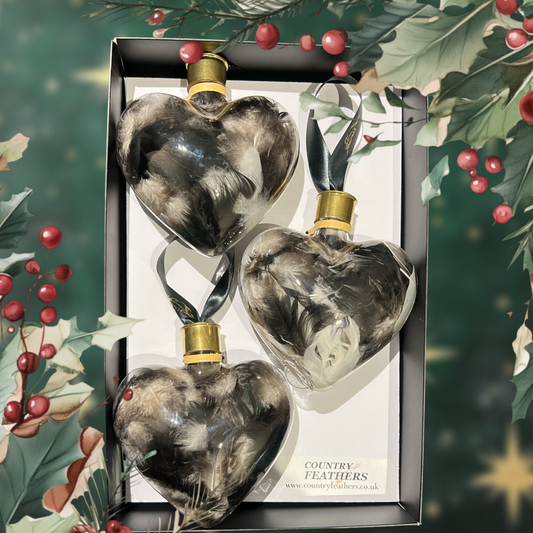 Heart Feather Baubles (CFHE9022)