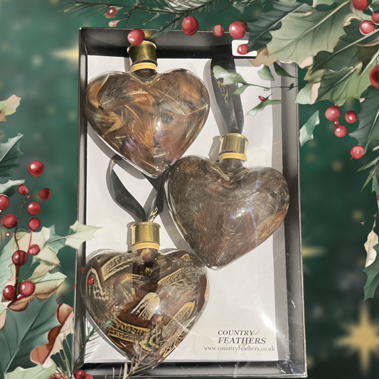 Heart Feather Baubles (CFHE9019)