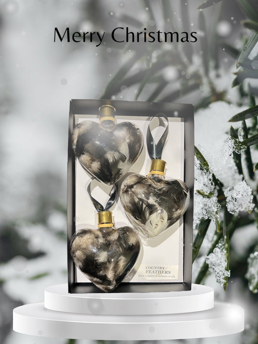 Heart Feather Baubles (CFHE9022)