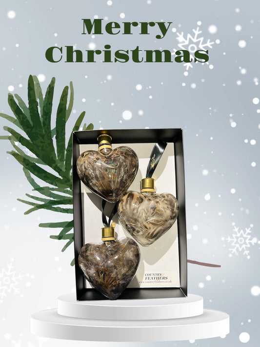 Heart Feather Baubles (CFHE9026)