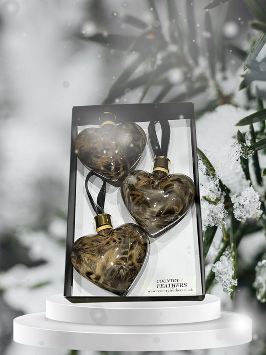 Heart Feather Baubles (CFHE9011)