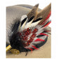 Red, Black, White and Natural Feather Hat Pin CFP841