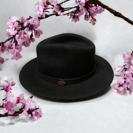 Fedora Black Hat With a Black Leather Band